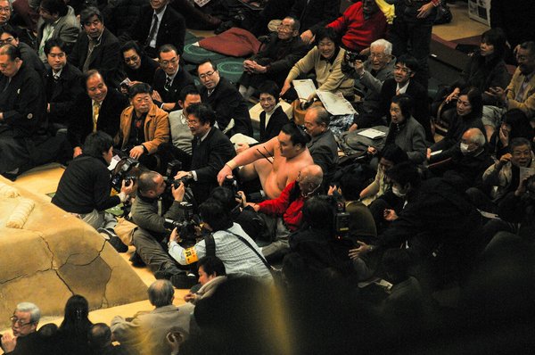 Comparatif : rayons ronds contre rayons plats